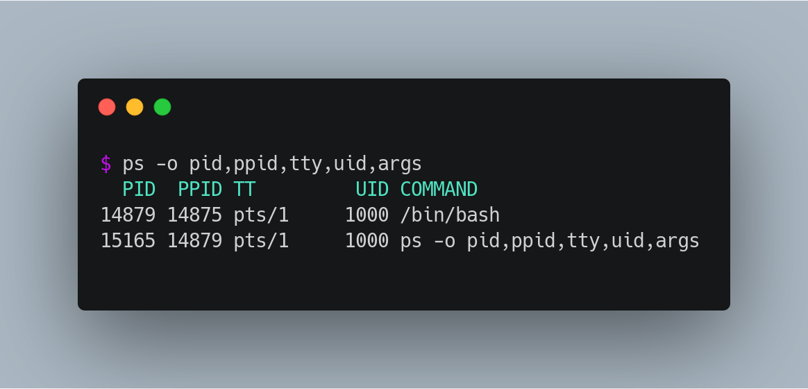 Running ps command with arguments